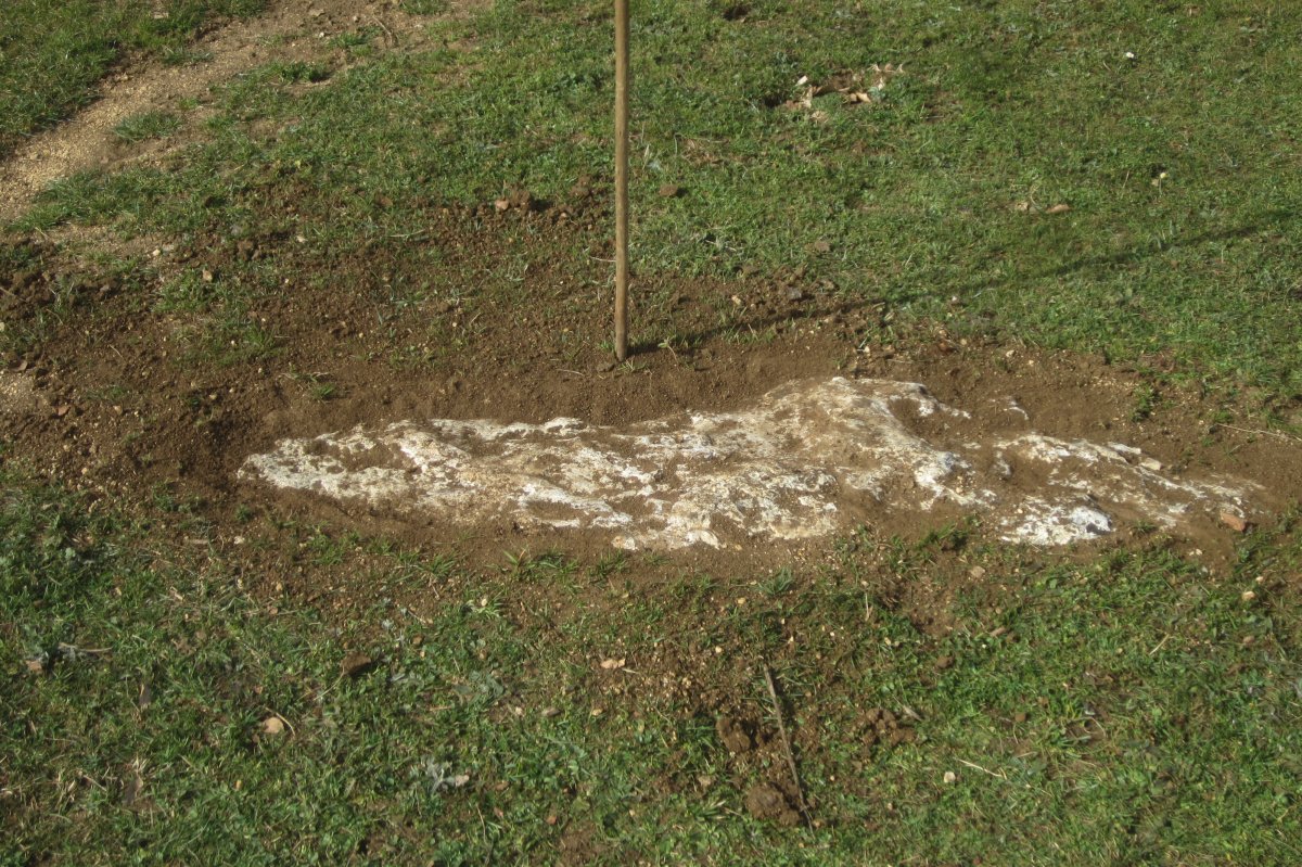 Monolito Lazeta  (Febrero 2020)