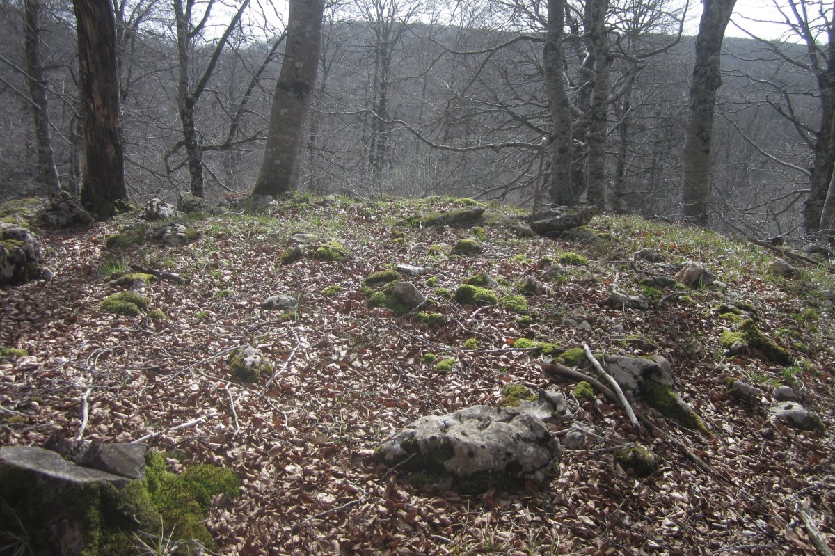 Dólmen * Kapitarte II  (Febrero 2020)