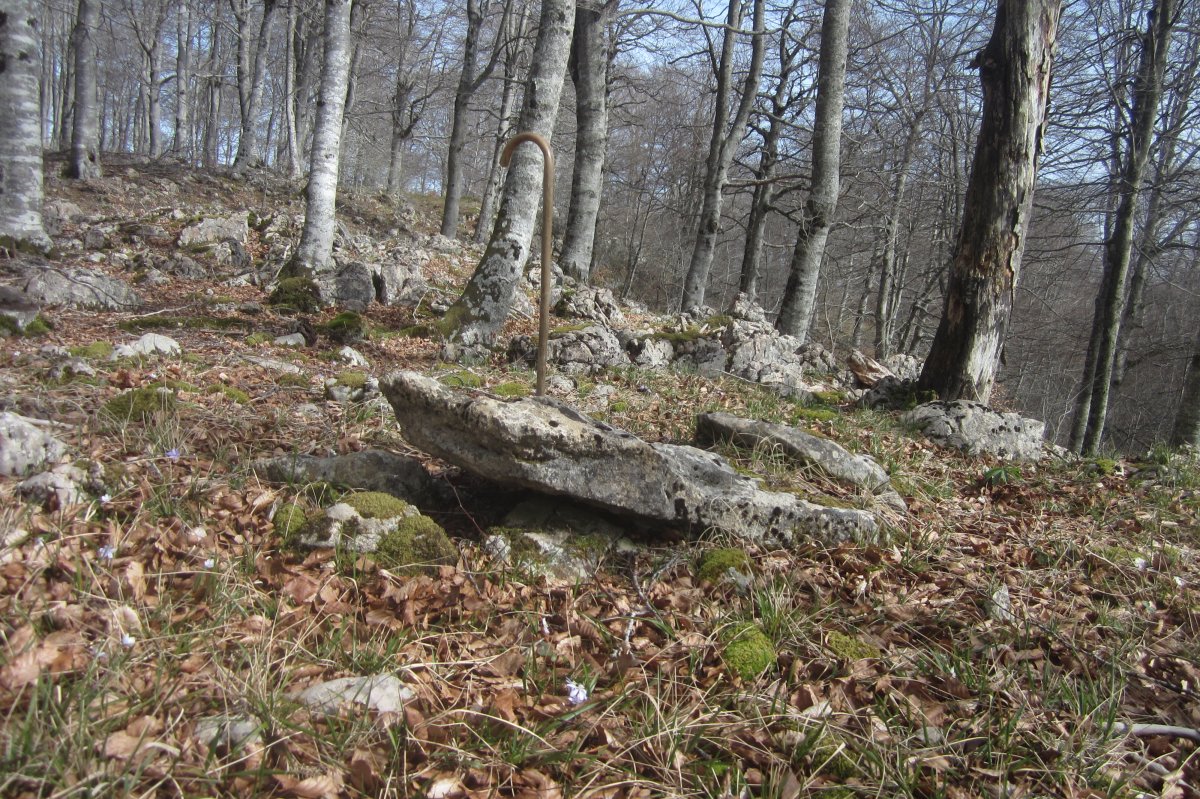 Dólmen* Kapitarte II  (Febrero 2020)