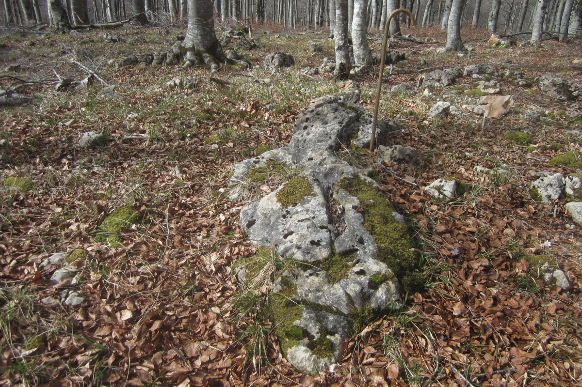 Dólmen* Kapitarte II  (Febrero 2020)