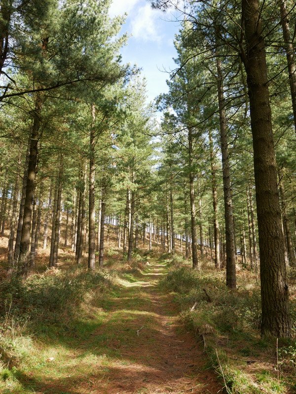 Igoerako pasarte bat