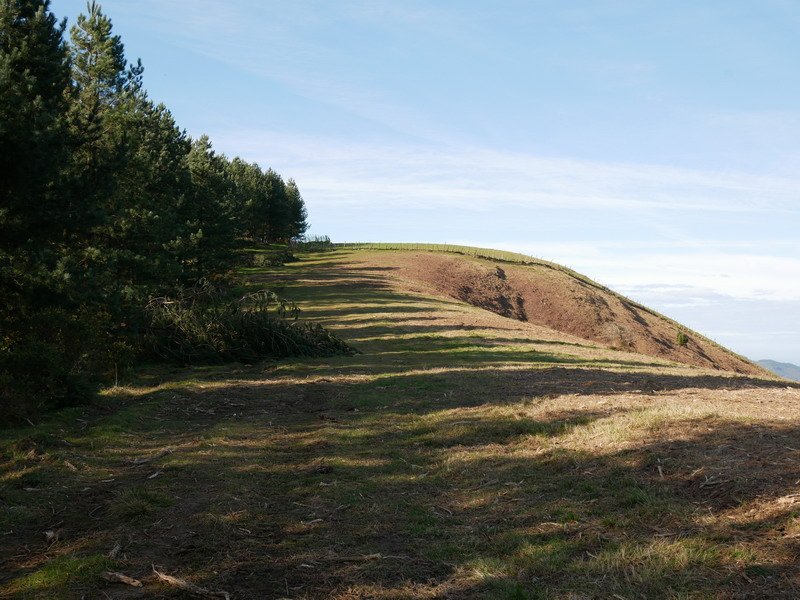 Larrea hego-ekialdeko bizkarretik ikusita