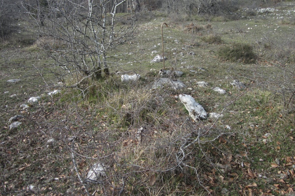 Campo Tumular Lazeta,Túmulo B (Febrero 2020)