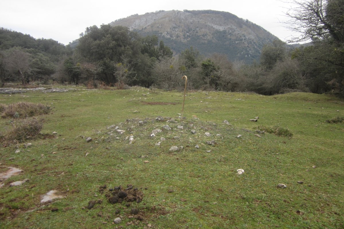 Campo Tumular Irulegi,Túmulo nº 9 (Enero 2020)