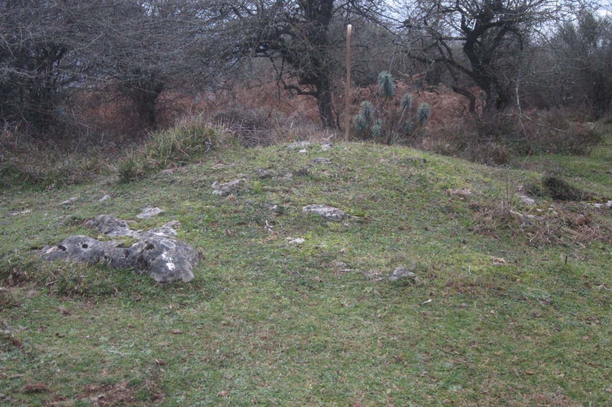 Túmulo Ariztiaundia (Diciembre 2019)