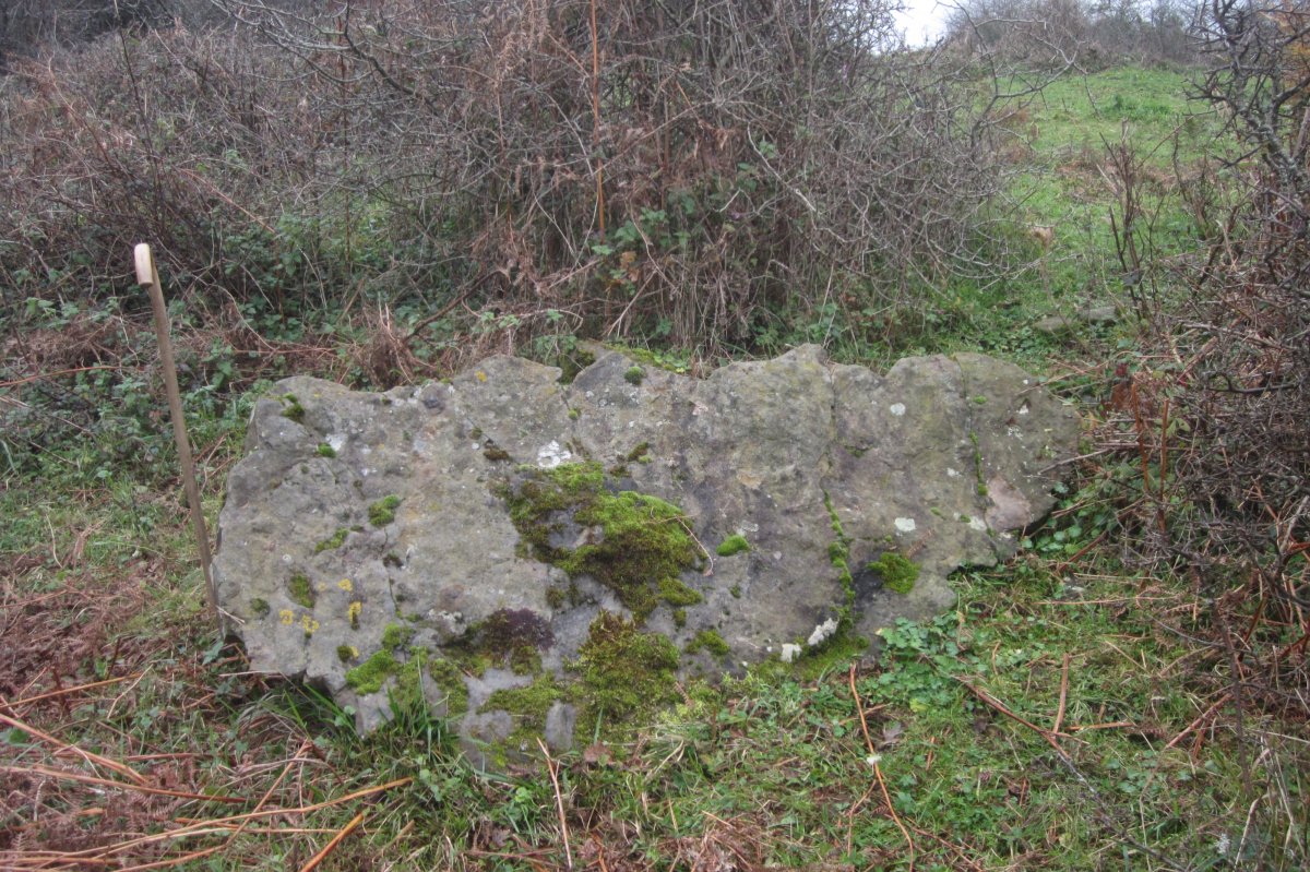 Monolito Ariztiaundi  (Diciembre 2019)