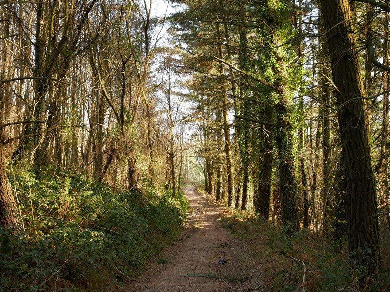 Jaitsierako pasarte bat