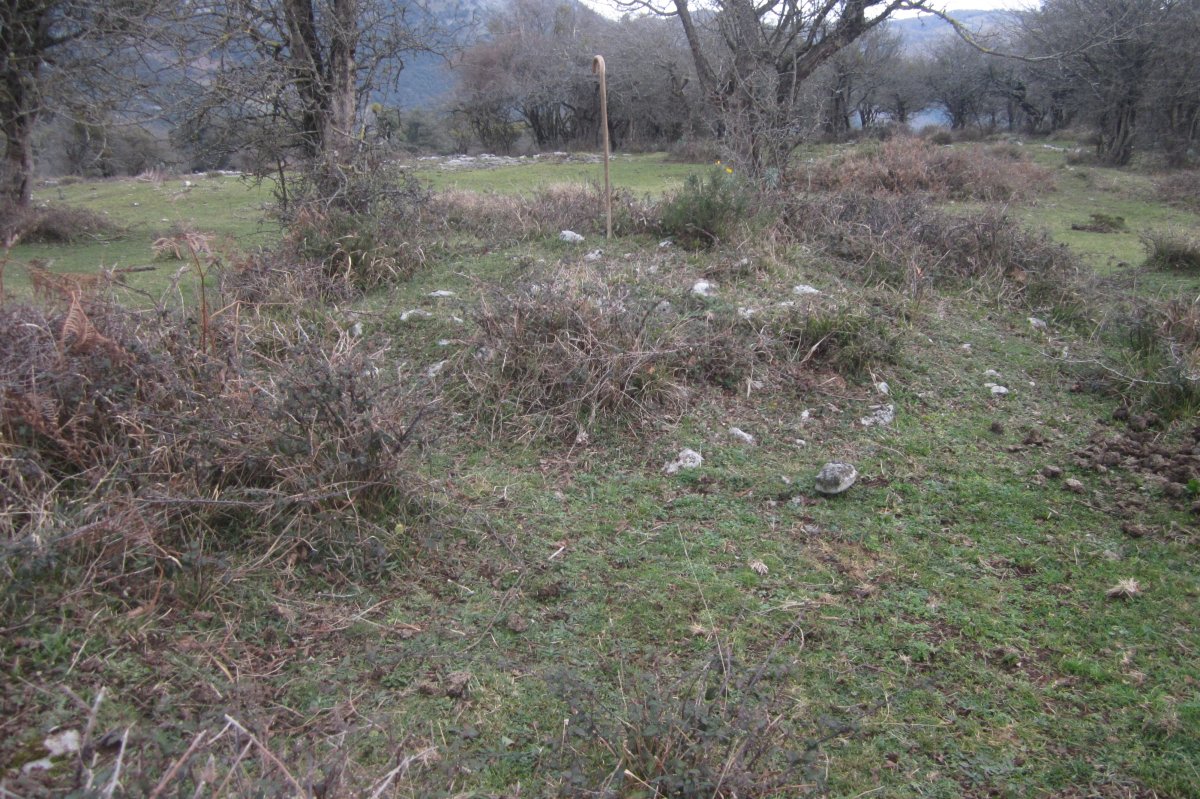 Campo Tumular Ariztiaundia, Túmulo nº 1  (Enero 2020)