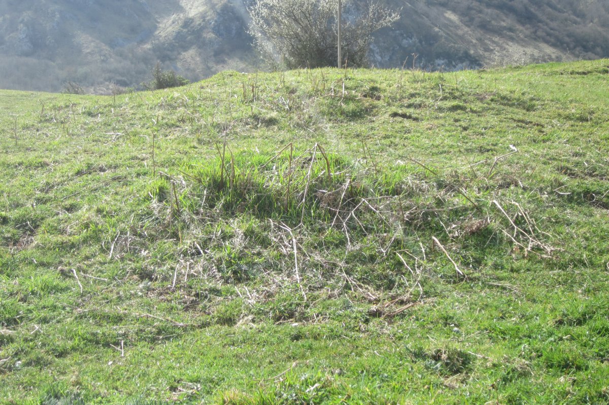 Fondo de Cabaña Auntzin Bizkarra nº 1 (Abril 2018)