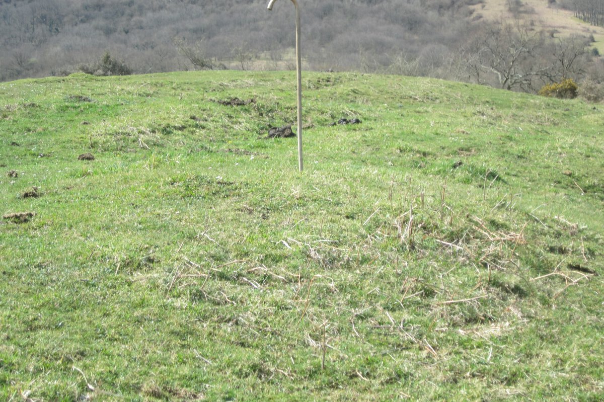 Fondo de Cabaña Auntzin Bizkarra nº 3 (Abril 2018)