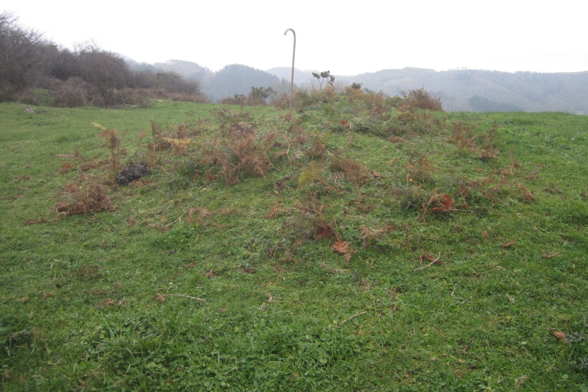 Túmulo San Donato 2 (Diciembre 2019)