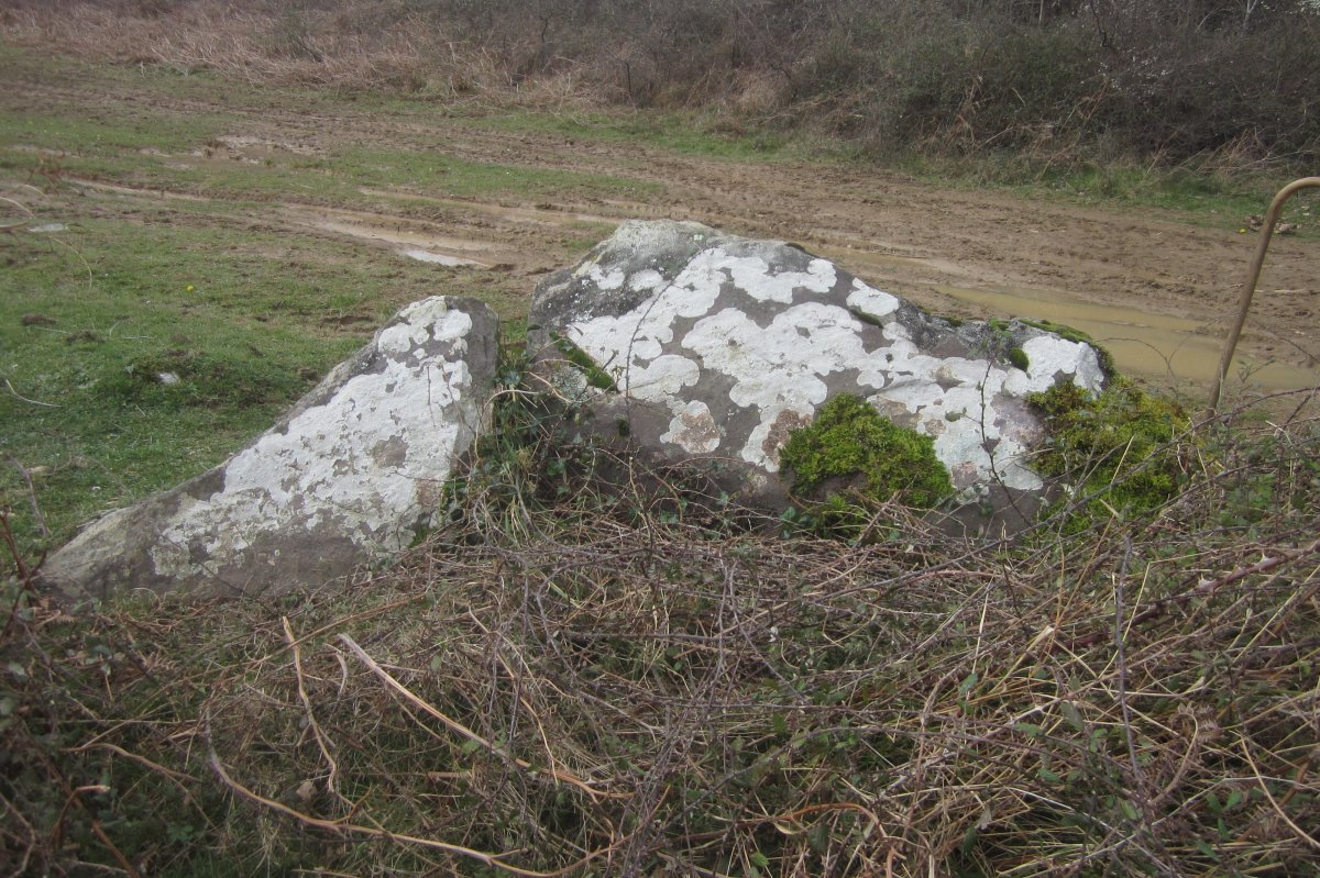 Monolito Arrazela  (Marzo 2020)