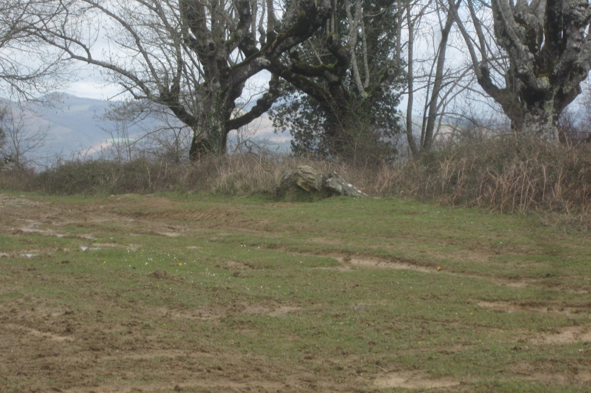 Monollito Arrazela  (Marzo 2020)