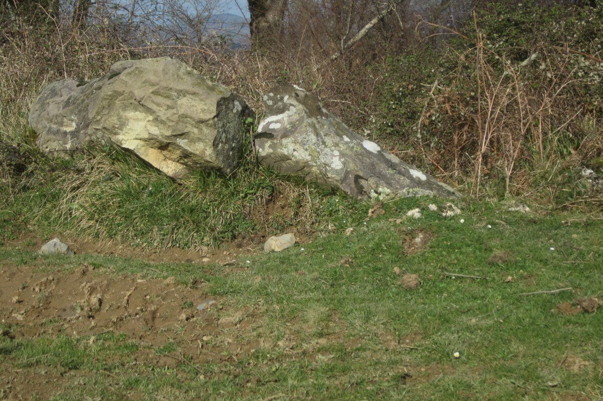 Monolito Arrazela  (Marzo 2020)