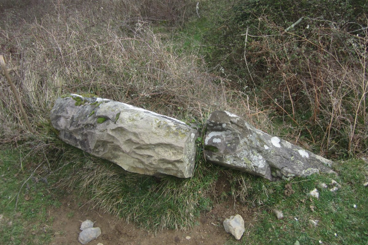 Monolito Arrazela  (Marzo 2020)