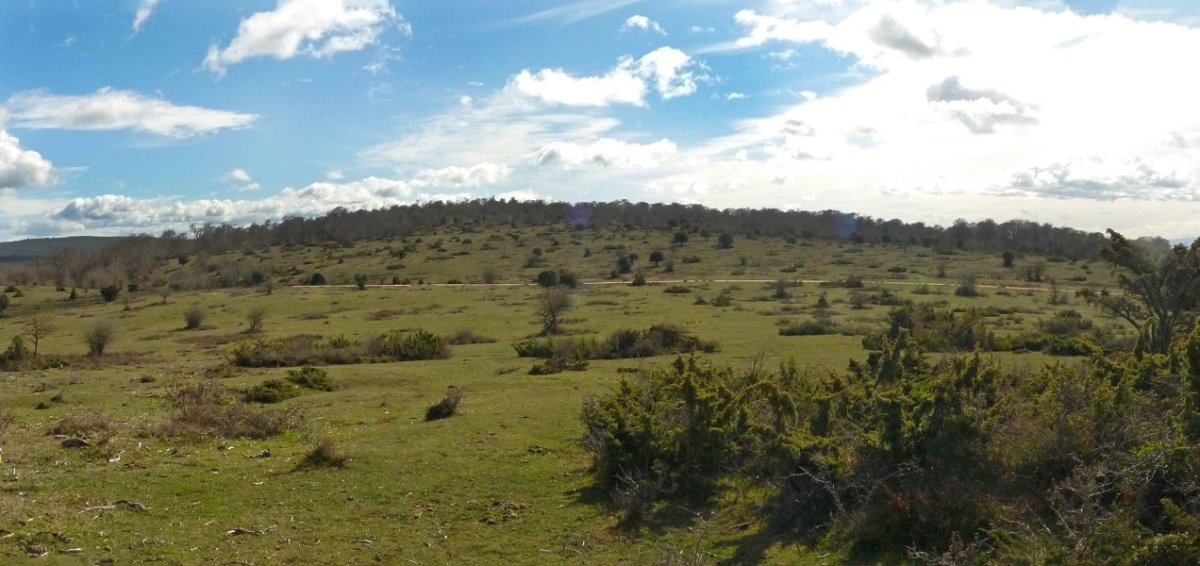 Arastegi, mendebaldetik