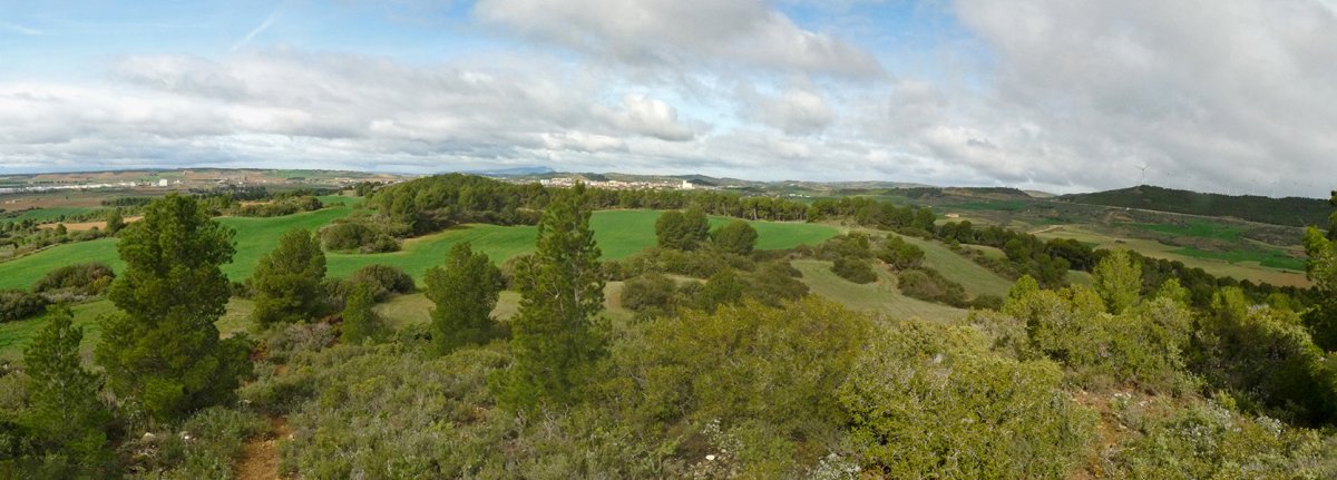 Tafalla, Valmedianotik