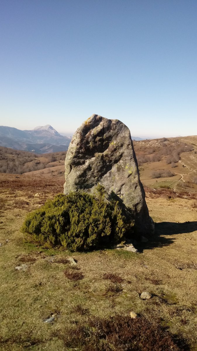 Mugarriluze zutarria