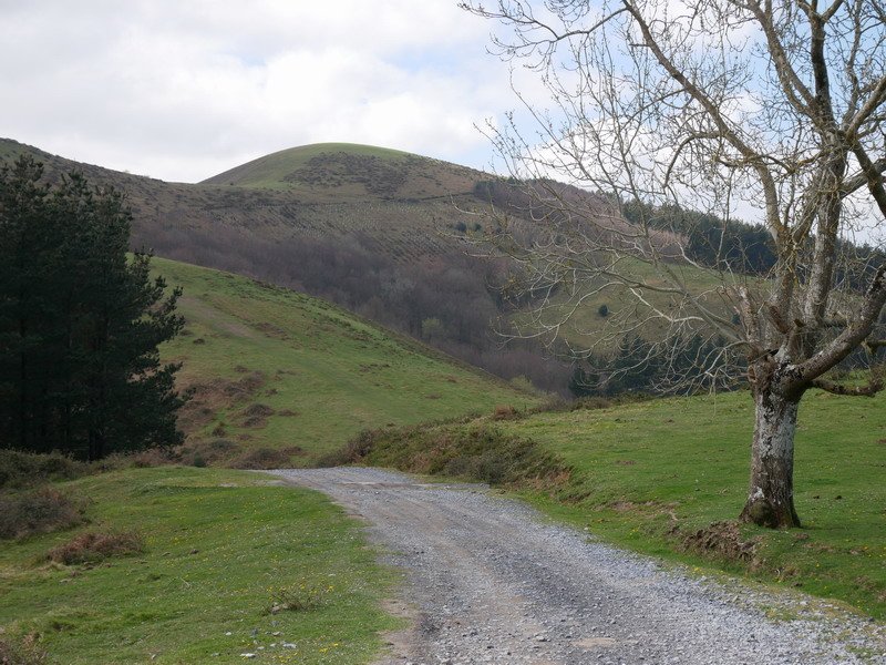 Arrolatik Ezkila lepora jeisten