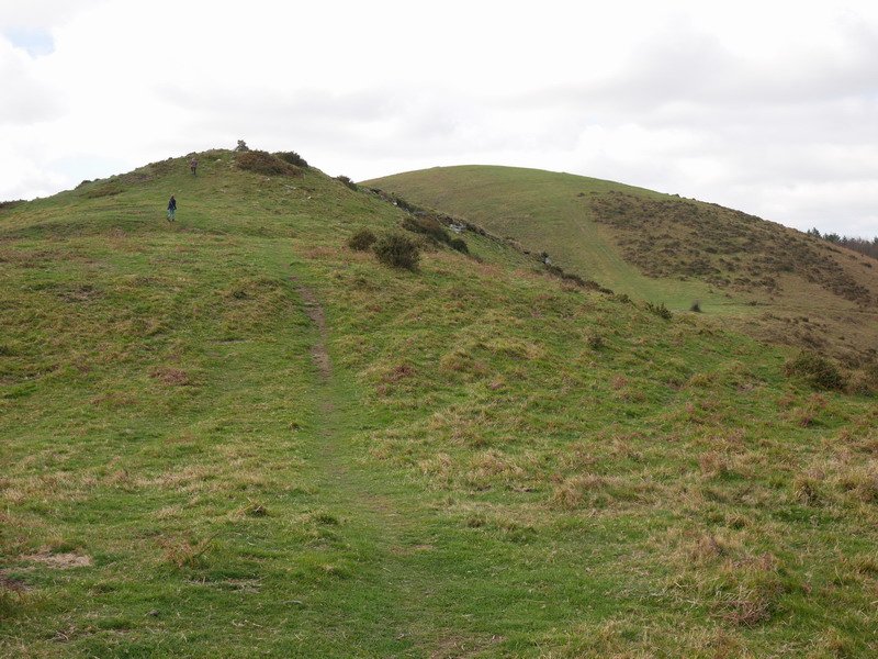 Arriurdin, atzean Larragorri