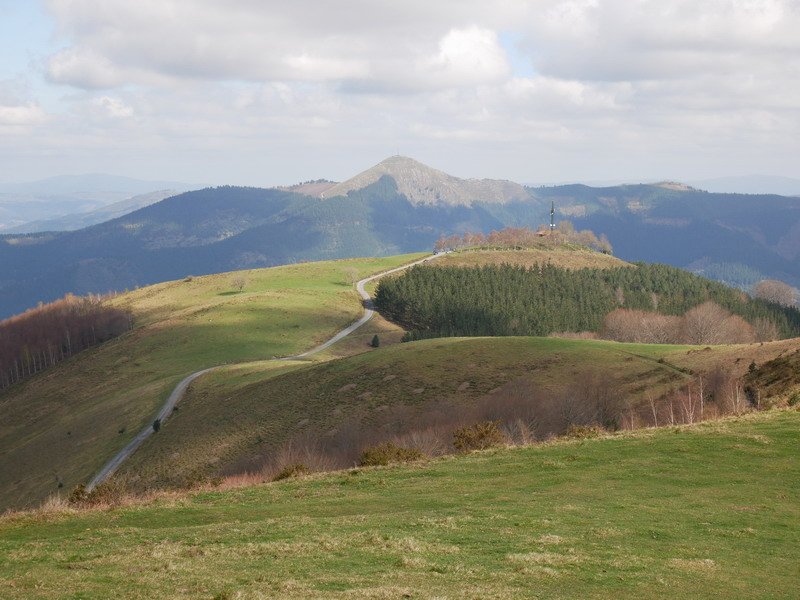 Arrola, Arriurdin eta Larragorri arteko bizkarretik ikusita