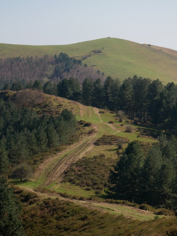 Larragorri, Kukutzatik ikusita