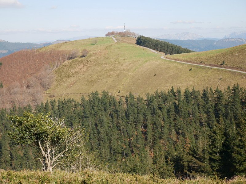 Arrola, mendebaldetik ikusita