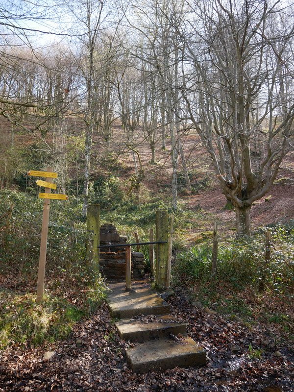 Jesuripozueta iturria