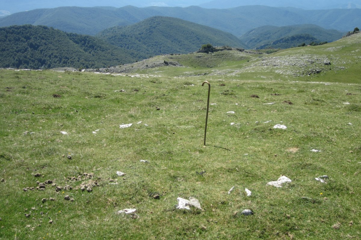 Círculo Anular Arraska 9 (Agosto 2017)