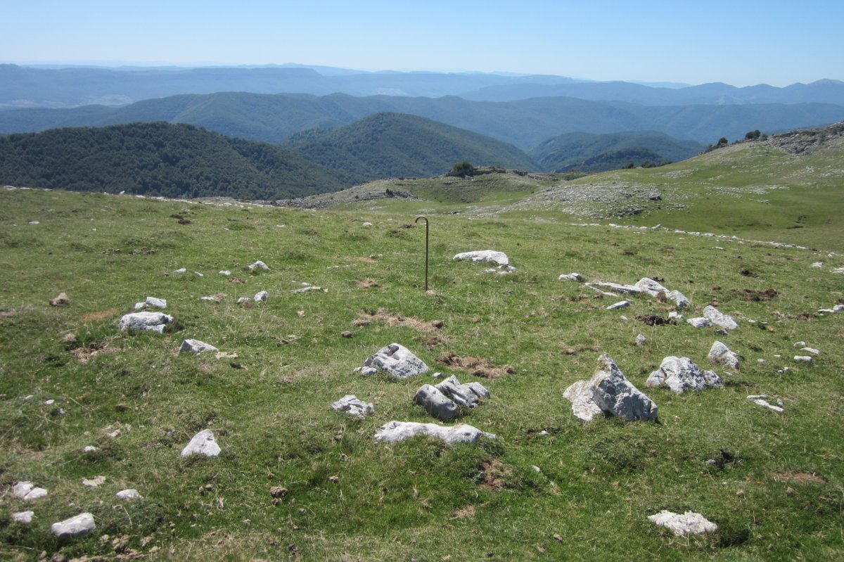 Círculo Anular Arraska 10 (Agosto 2017)