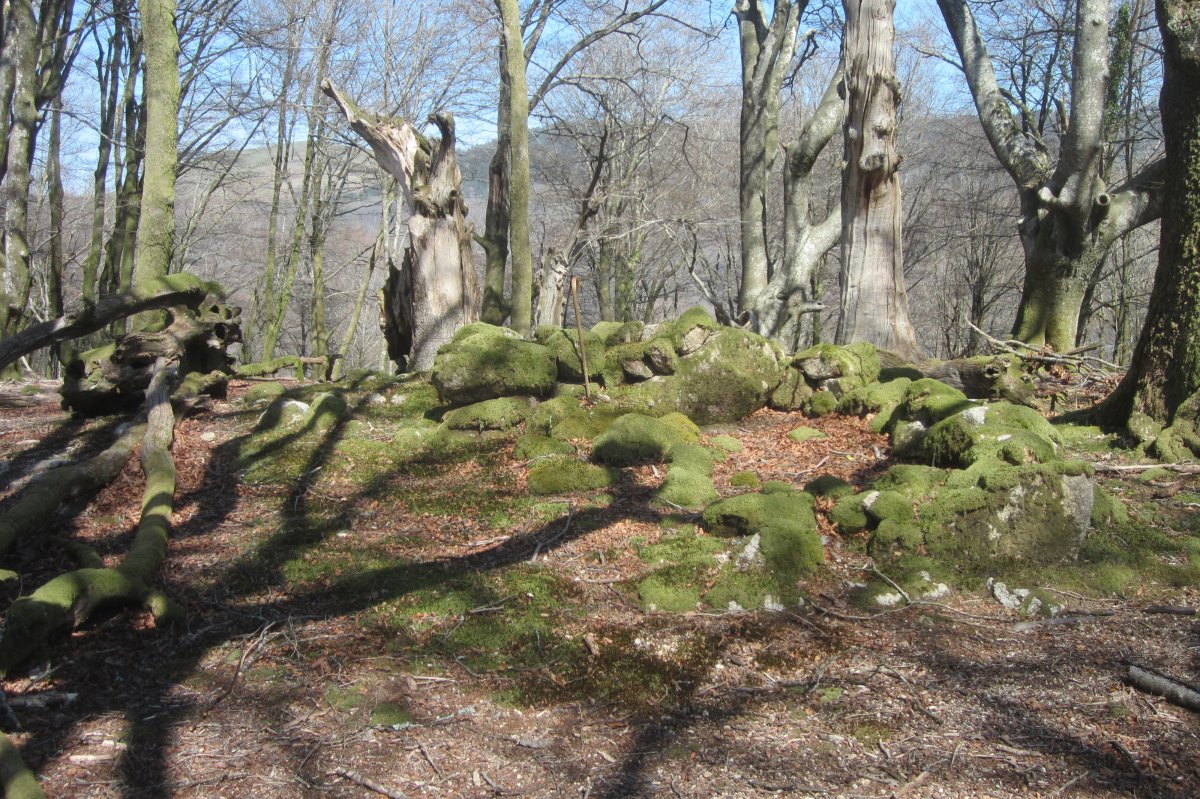 Túmulo Madariko Lepoa  (Marzo 2019)