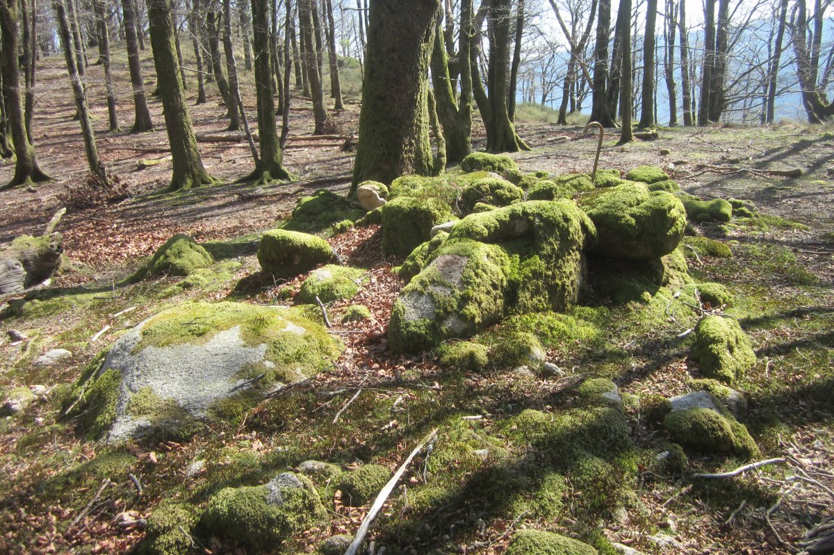 Túmulo Madariko Lepoa  (Marzo 2019)