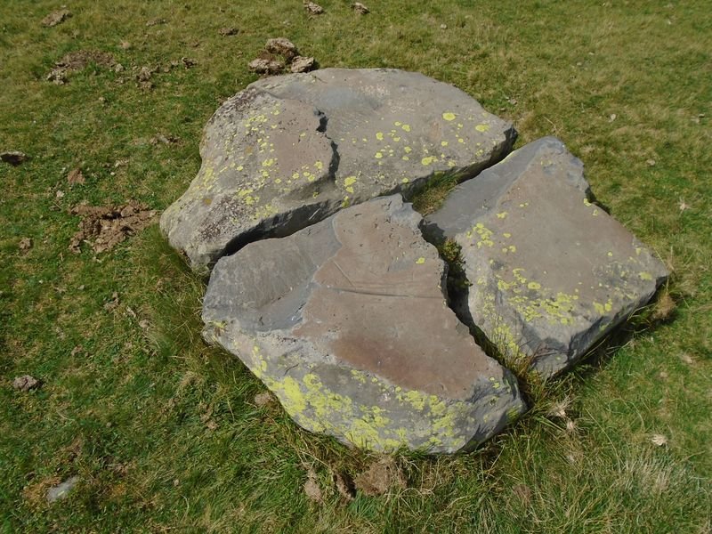 polissoir plaa houngarous