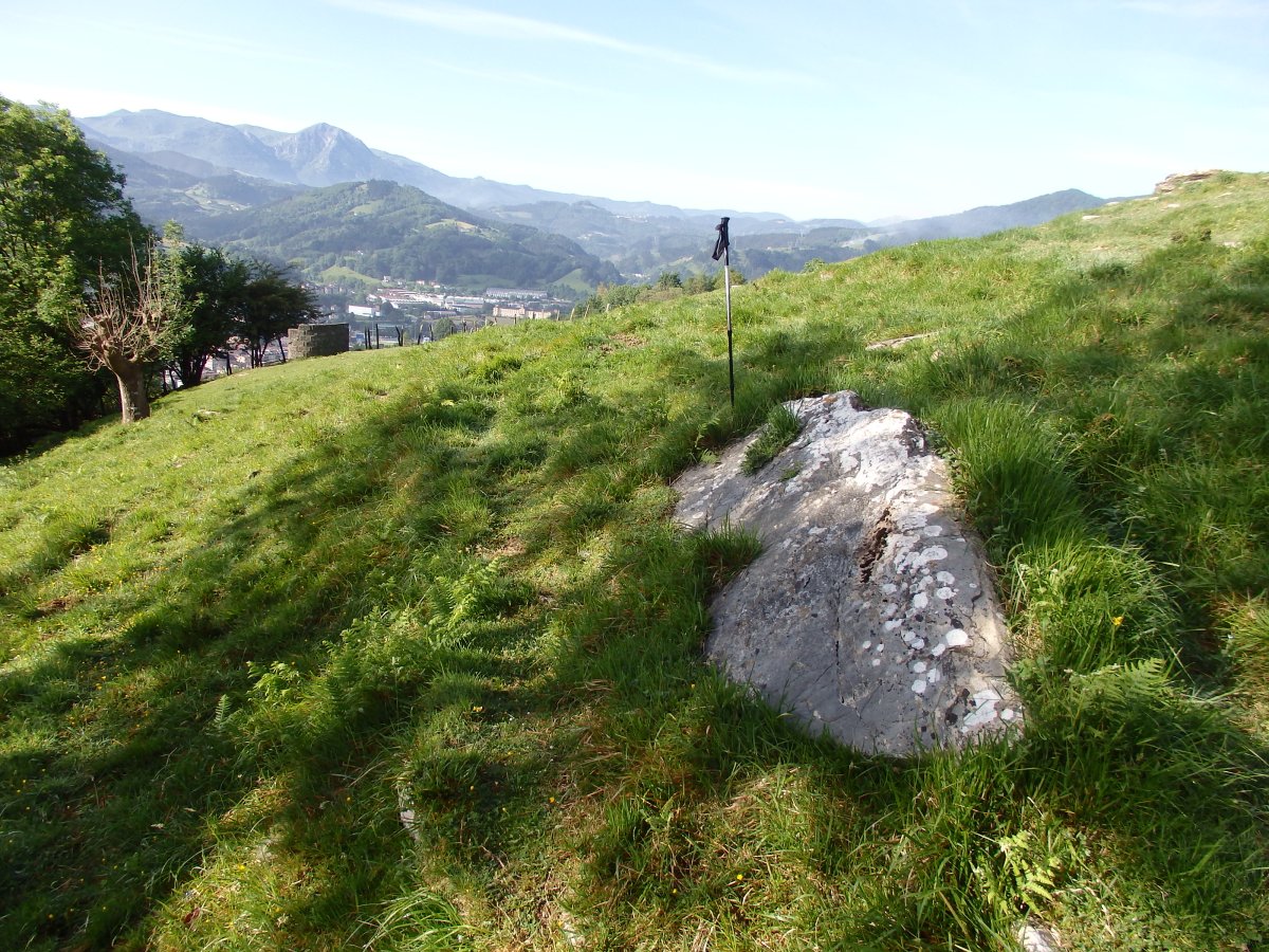 ALTZUSTABERRI II zutarri