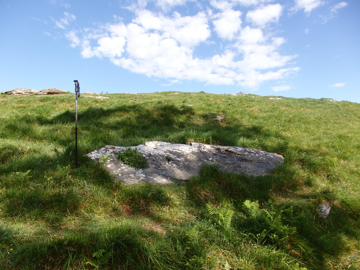 ALTZUSTABERRI II zutarri