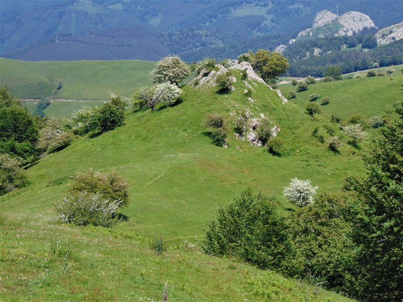 Iramendiko Punta Tontor Nagusitik