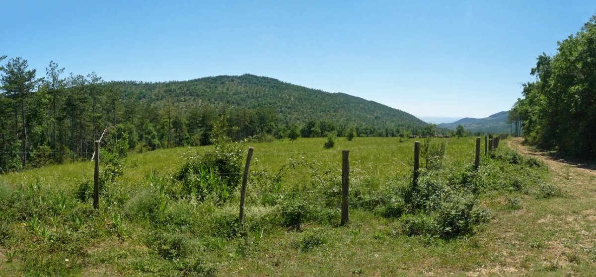 Soto larreak, eta Salbatore mendia