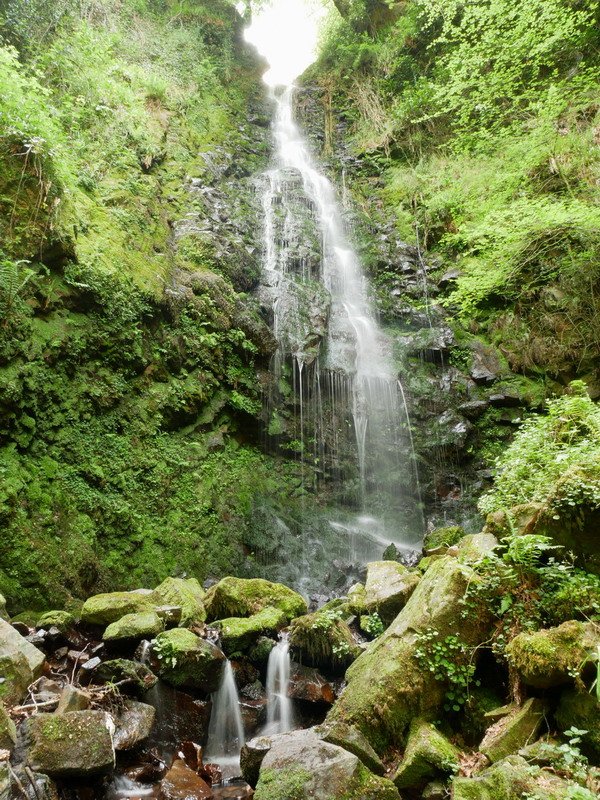 Belaustegi ur-jauzia