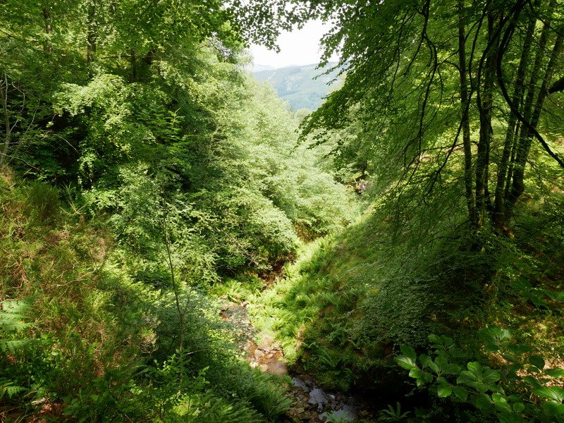 Belaustegi ur-jauzitik gertu