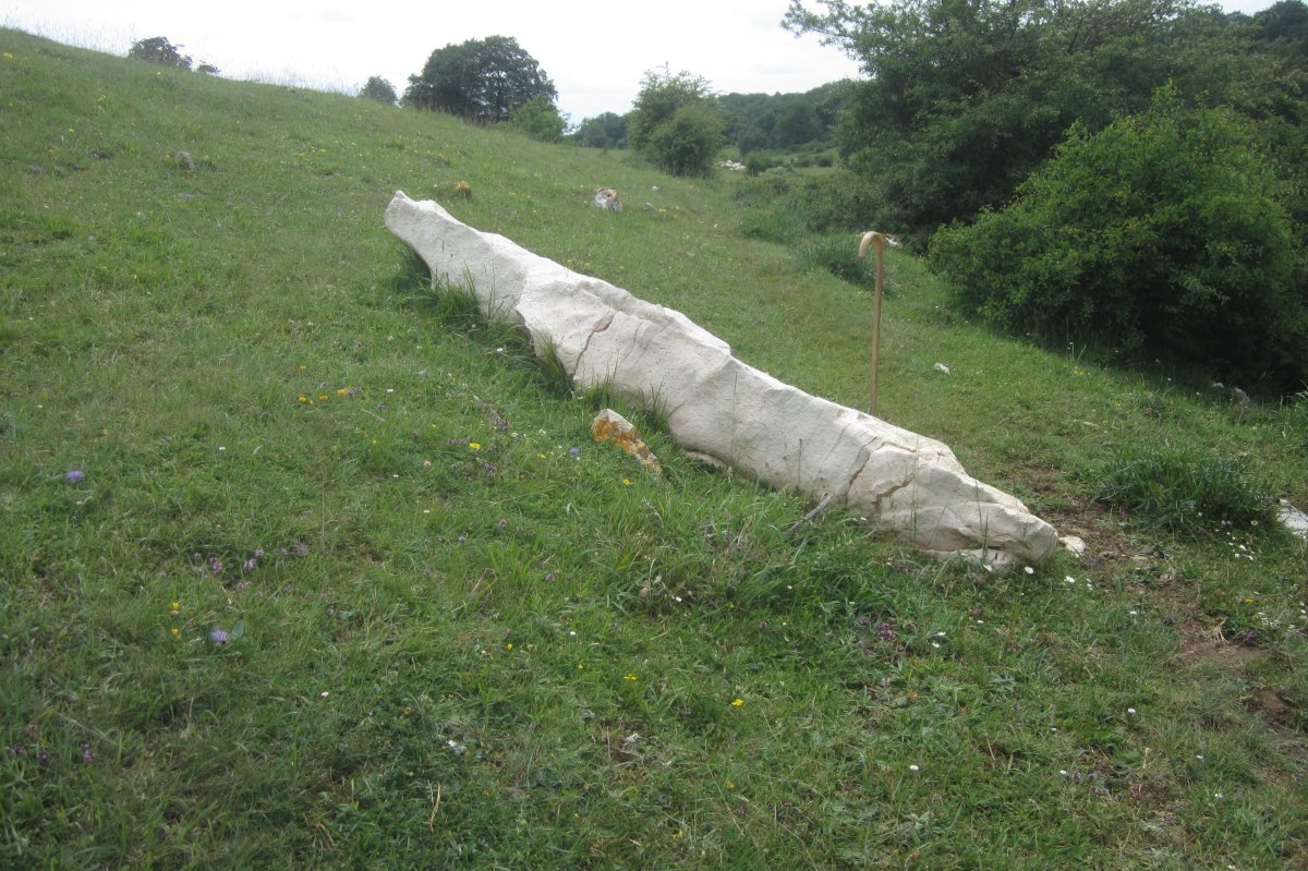 Monolito* Legaireko Erreka (Junio 2020)