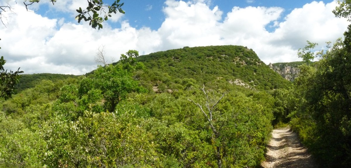 Hegoaldeko bizkarrean gora