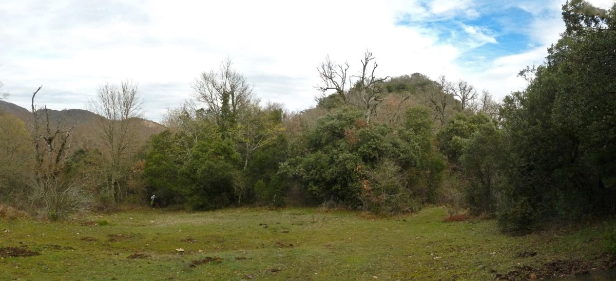 Gatutarri hegoaldeko lepoa