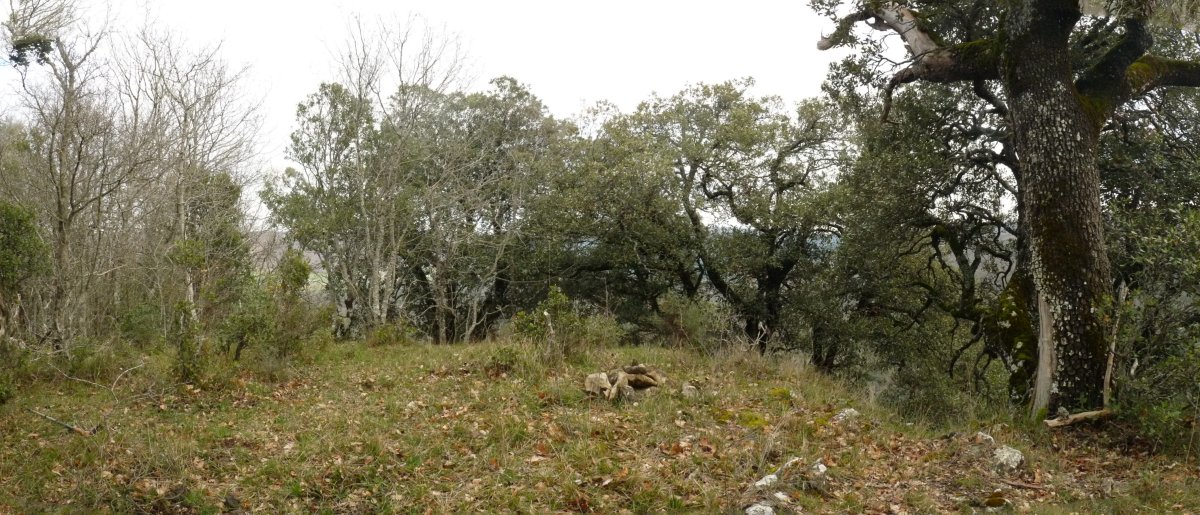 Arikomendiko gailurra