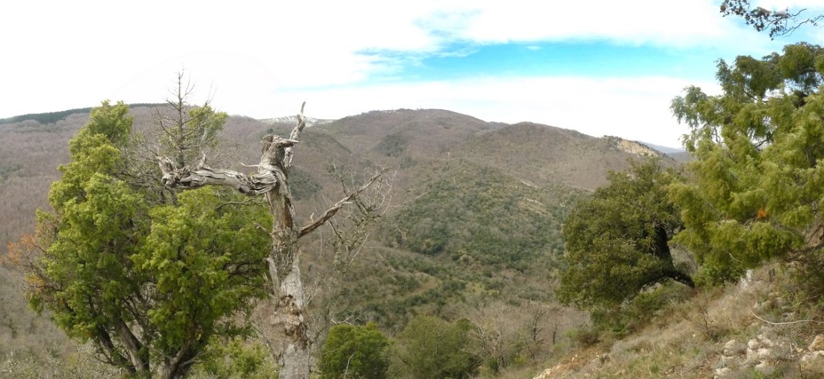 Lokiz iparraldeko mendiak Arikomenditik