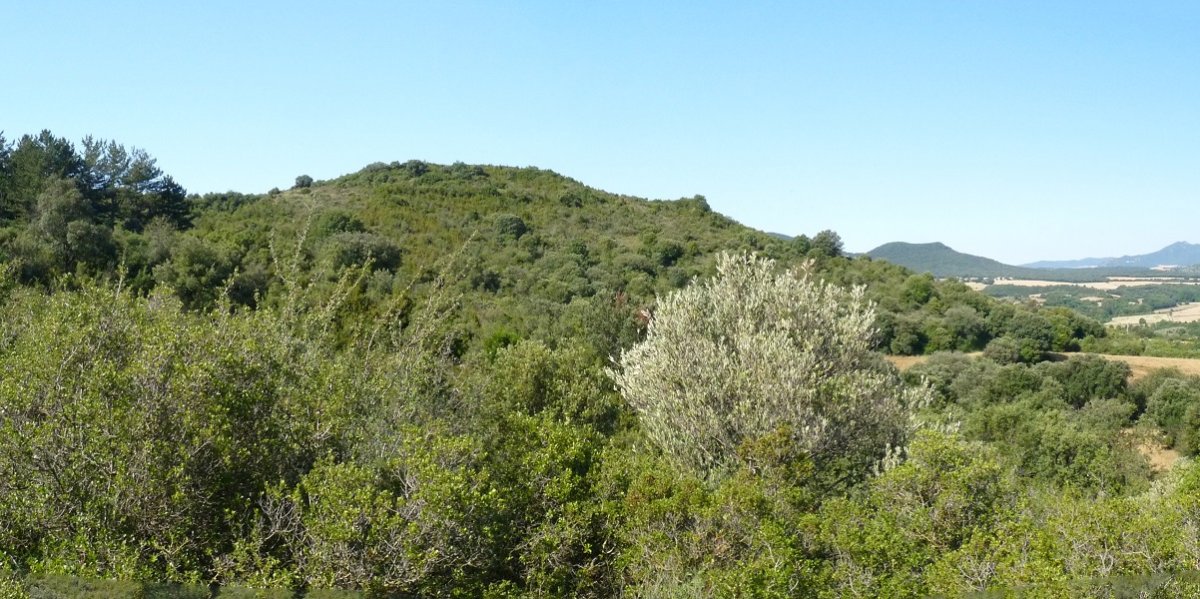 Gainaldea, sasiek inbadituta