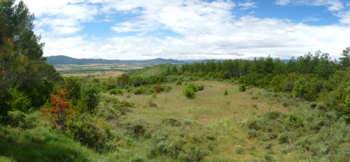 Peña del Adios, gainaldea