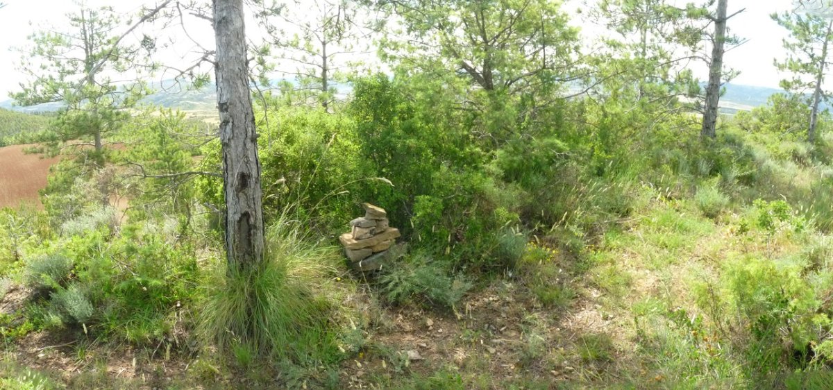 Peña del Adios, gailurra