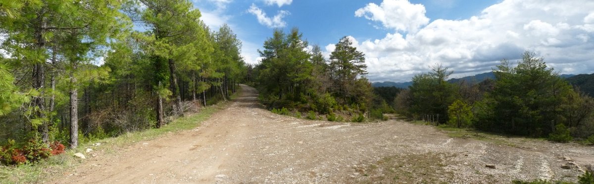 Lekunz iparraldeko lepoa