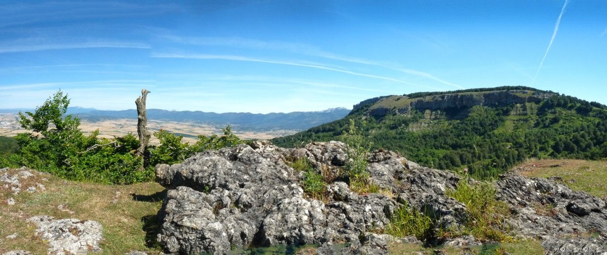 Txumarregiko gailurra