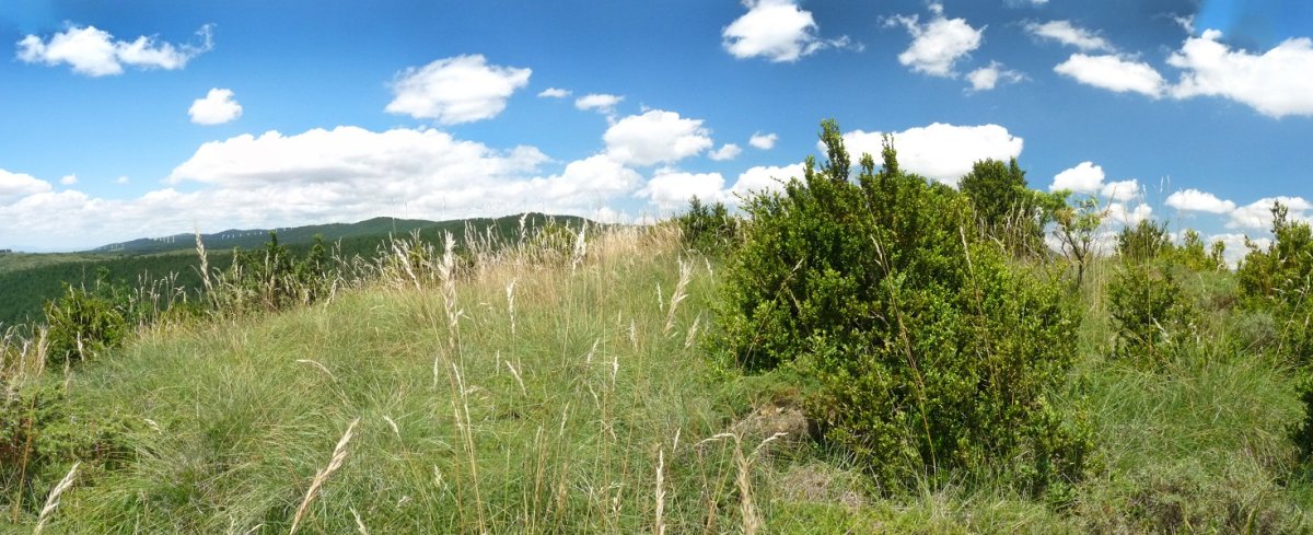Borda Largako gailurra
